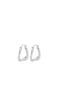 Summer Hoops Silver
